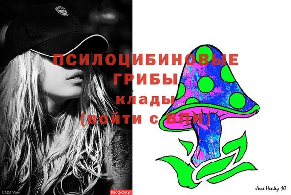 спиды Беломорск