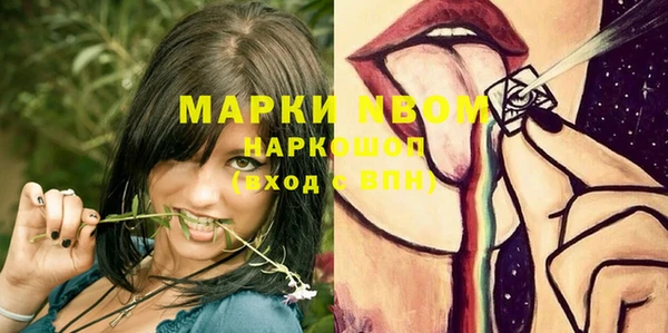 индика Белоозёрский