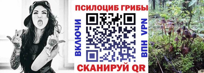купить наркотик  Коркино  Галлюциногенные грибы Cubensis 